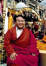 medium_masters-sogyalrinpoche-bodhgaya-bodhitree